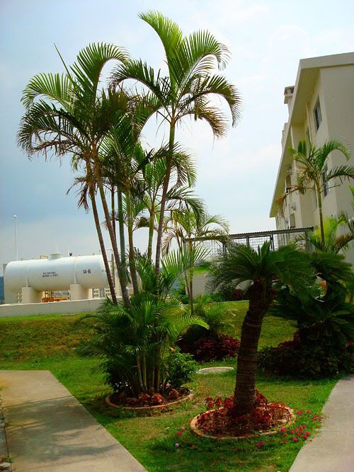 Home Sweet Okinawa Camp Foster